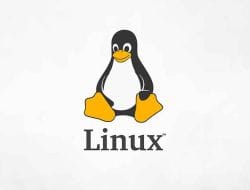 Ubuntu: Mengenal Sistem Operasi Linux yang Populer