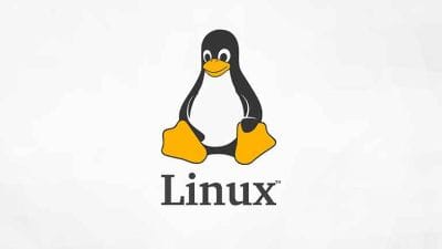 Ubuntu: Mengenal Sistem Operasi Linux yang Populer