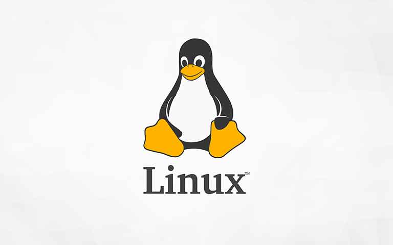 Ubuntu: Mengenal Sistem Operasi Linux yang Populer