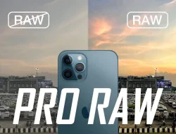 Spesifikasi iPhone 13 Pro Max dan Harga Bekasnya