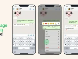 Cara Membuat Stiker WhatsApp yang Menarik dan Kreatif