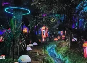 Review Hutan Mycelia Wahana Edukasi di Lembang yang Unik dan Instagramable